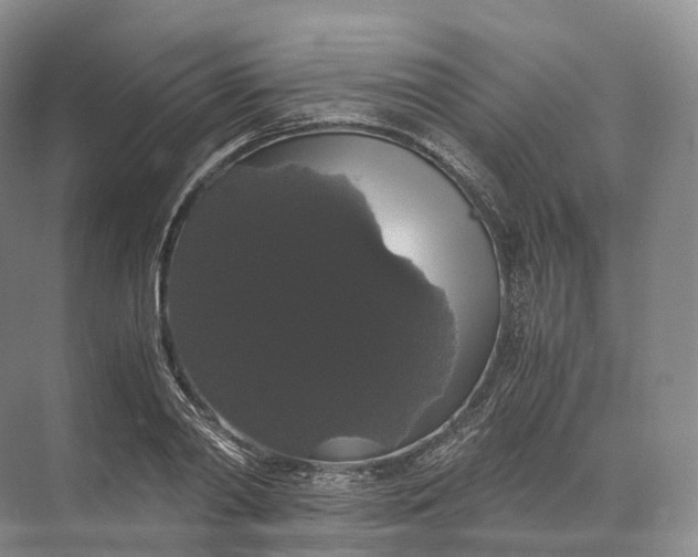 X0000071780790200607150054