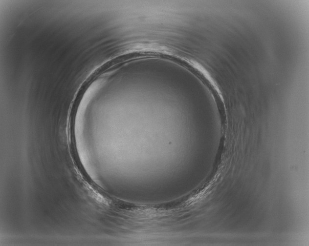 X0000071780791200607150053