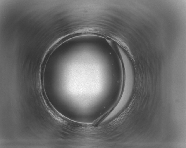 X0000071780792200607150053