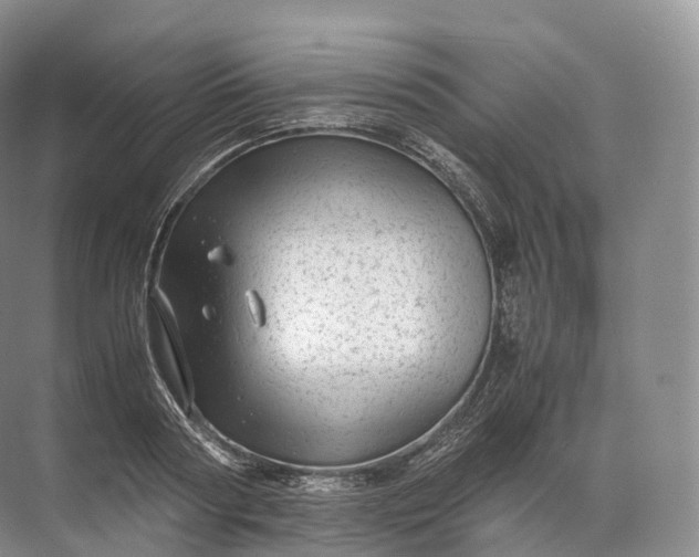 X0000071780794200607150053