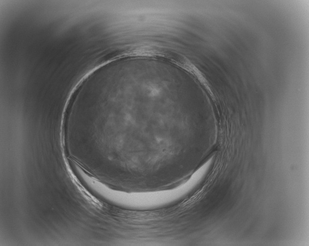 X0000071780795200607150053