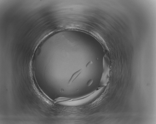 X0000071780798200607150053