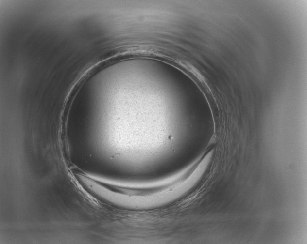 X0000071780799200607150053