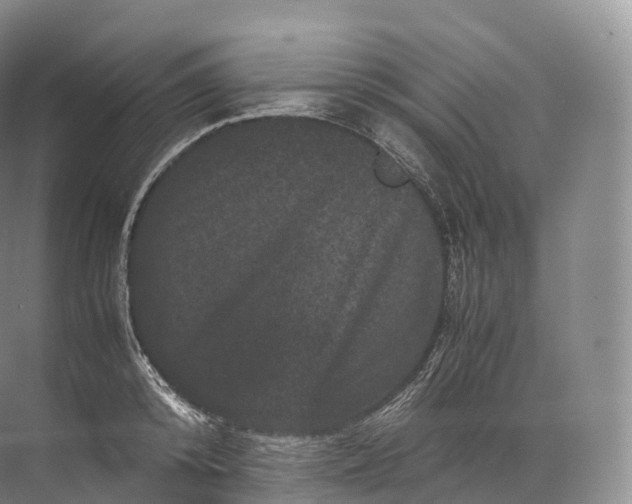 X0000071780800200607150053