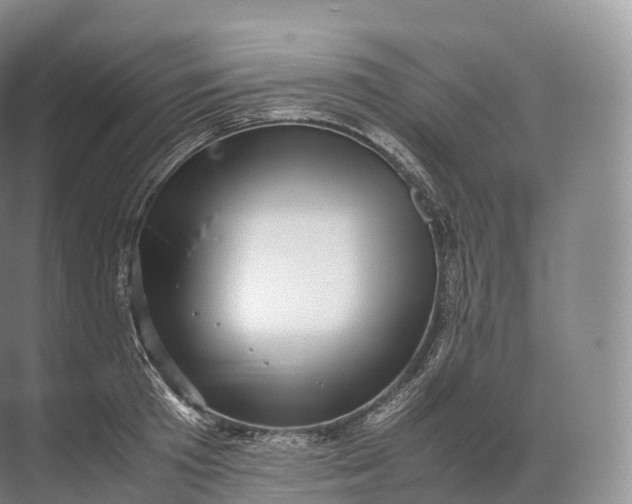 X0000071780801200607150053