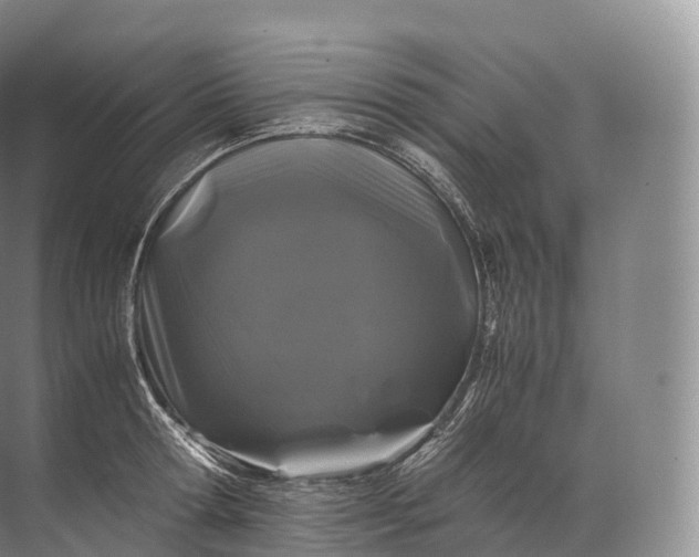 X0000071780802200607150053