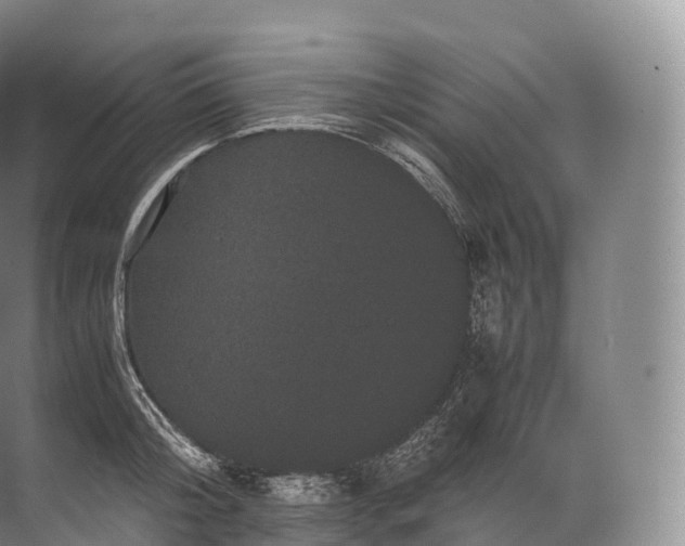 X0000071780804200607150053