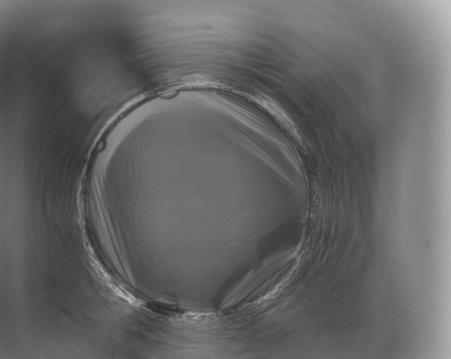 X0000071780806200607150053