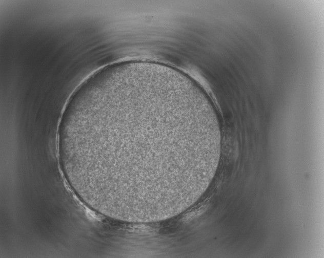 X0000071780807200607150053