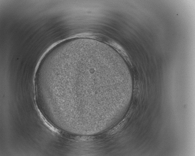 X0000071780808200607150053