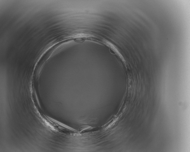 X0000071780810200607150053