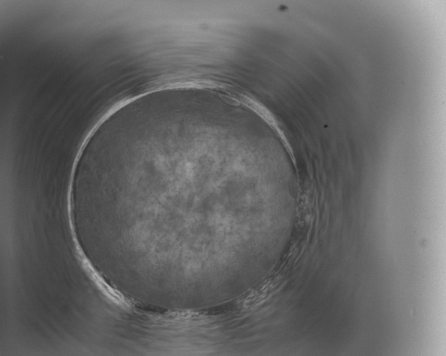 X0000071780811200607150053