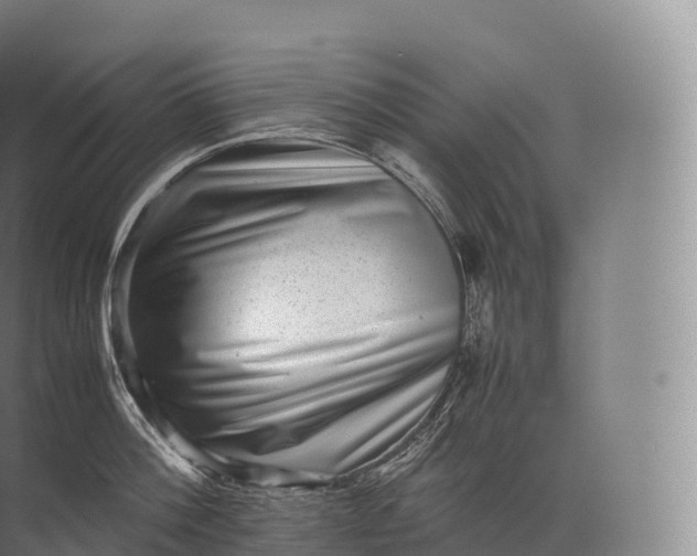 X0000071780812200607150053