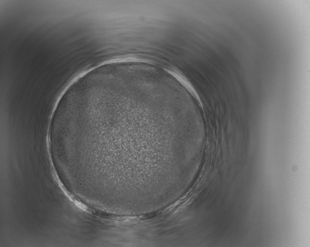 X0000071780813200607150053