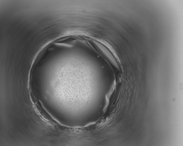 X0000071780815200607150053