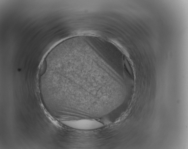 X0000071780816200607150053