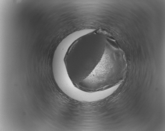 X0000071780818200607150052