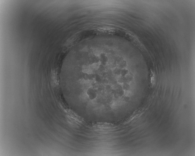 X0000071780819200607150052