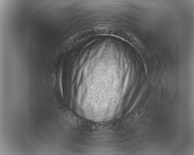 X0000071780821200607150052