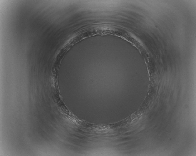 X0000071780823200607150052