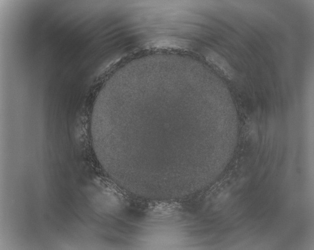 X0000071780824200607150052