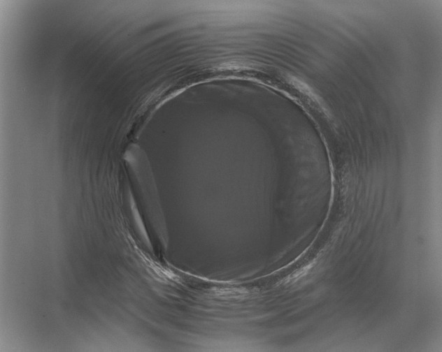 X0000071780825200607150052