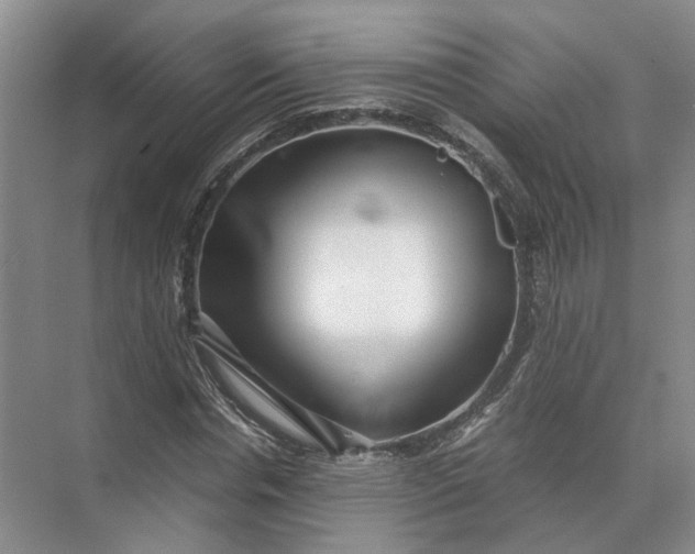 X0000071780826200607150052