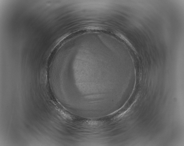 X0000071780829200607150052