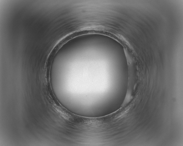 X0000071780830200607150052