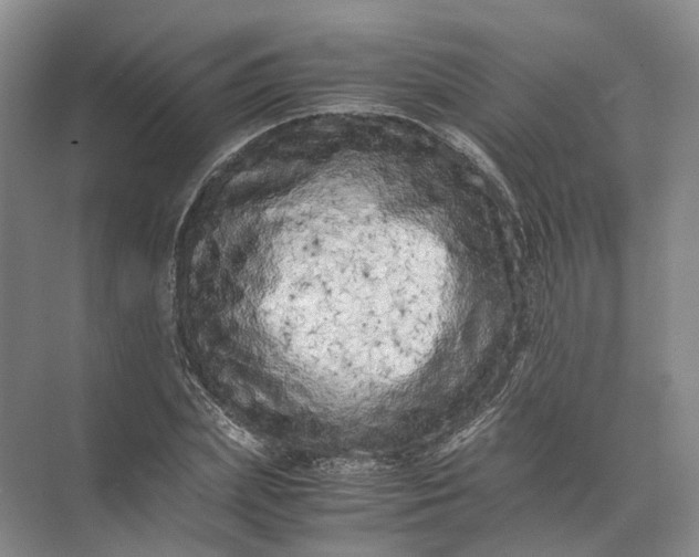 X0000071780831200607150052