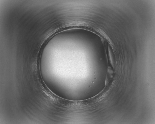 X0000071780834200607150053