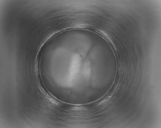 X0000071780835200607150053