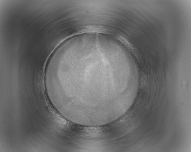 X0000071780836200607150053