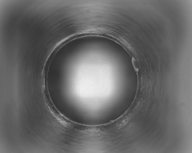 X0000071780838200607150053