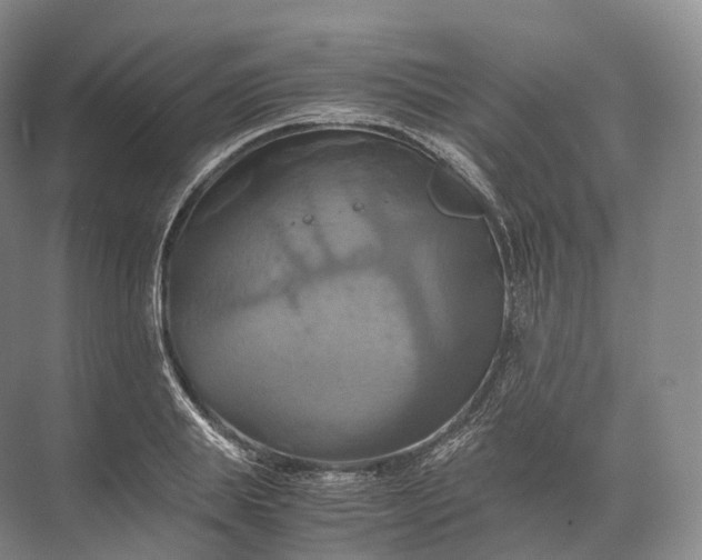 X0000071780839200607150053