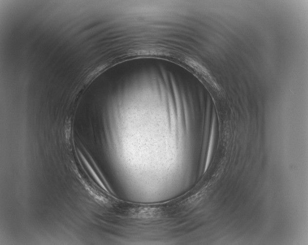 X0000071780841200607150053