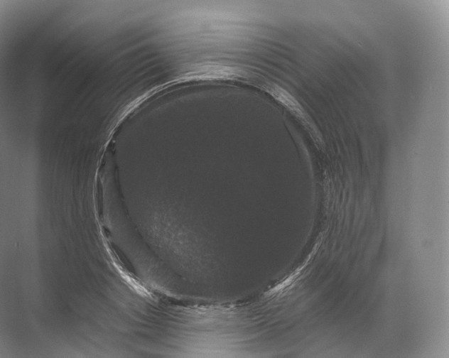 X0000071780842200607150053