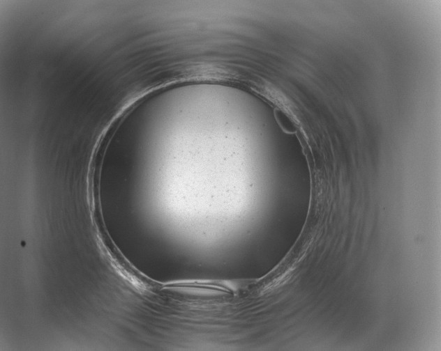 X0000071780843200607150053