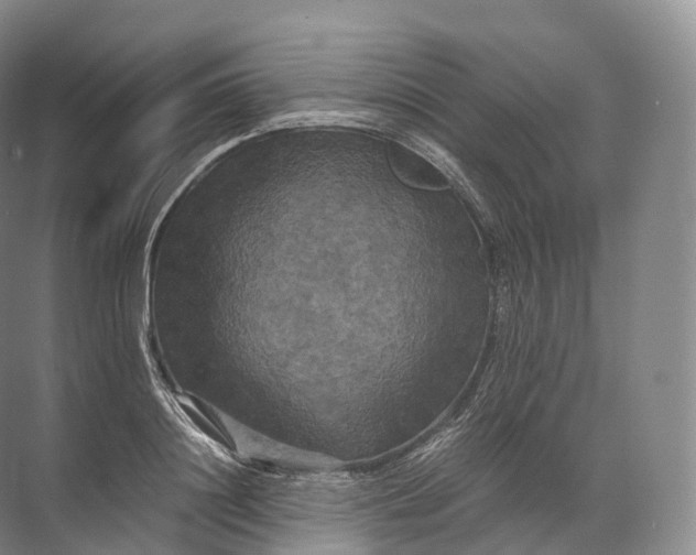 X0000071780844200607150053