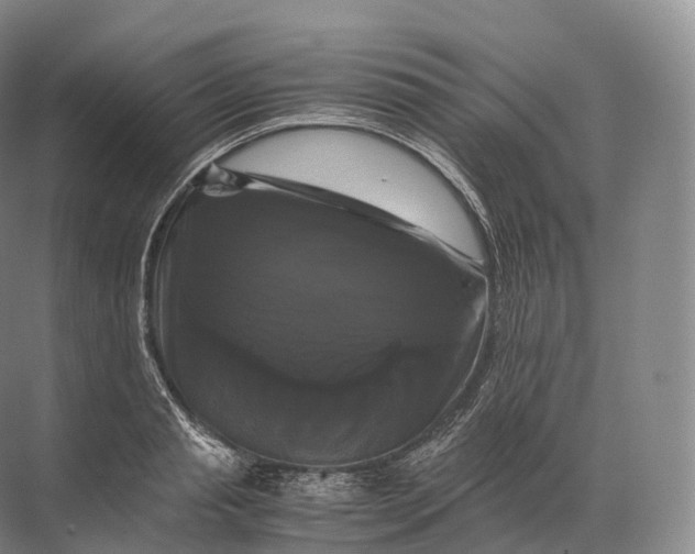 X0000071780845200607150053