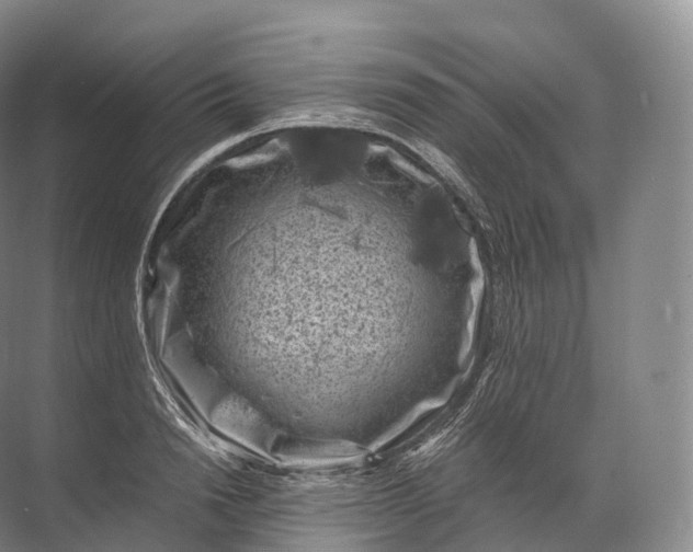 X0000071780846200607150053