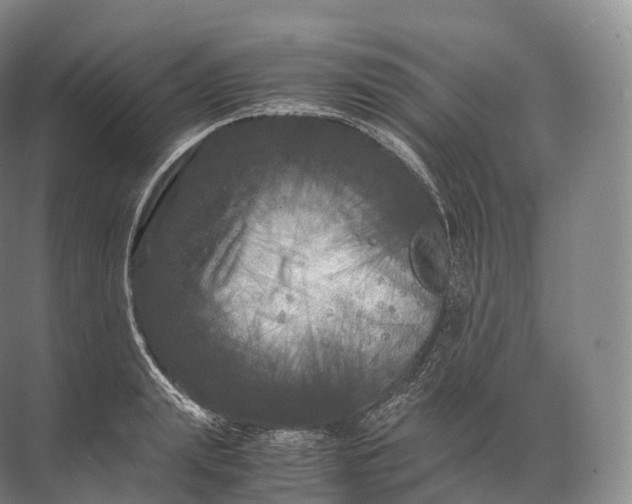 X0000071780847200607150053