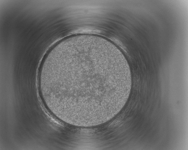 X0000071780848200607150053