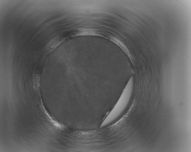 X0000071780849200607150053