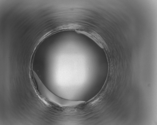 X0000071780850200607150053