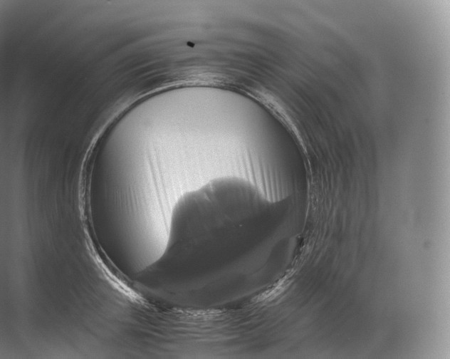 X0000071780851200607150053