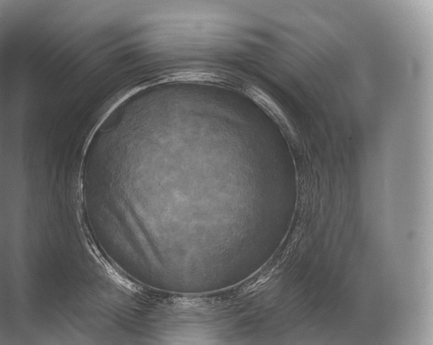 X0000071780852200607150053