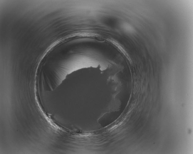 X0000071780853200607150053