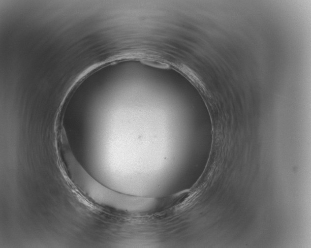 X0000071780854200607150053