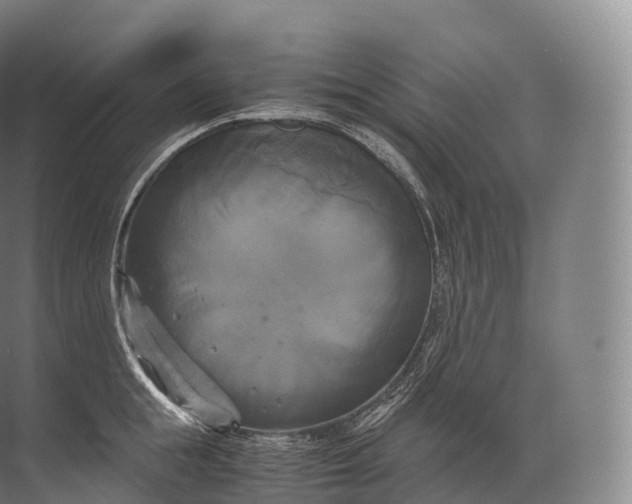 X0000071780855200607150053